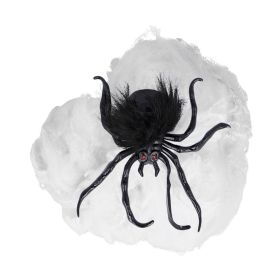 Trishi Spider With Spider Web