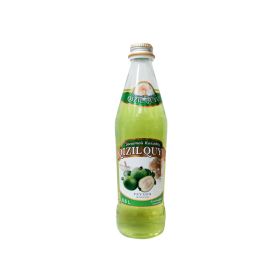 Qizil Quyu Lemonade Feijoa 500ml