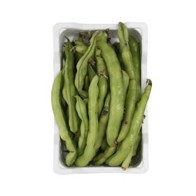 Fava Beans Lebanon