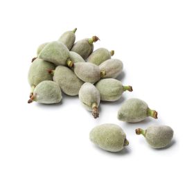 Almond Green Lebanon