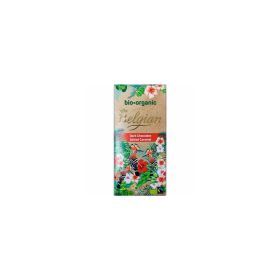 Belgian Organic Dark Chocolate Salted Caramel
