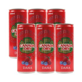 Canada Dry Dana Soda Drink 250ml