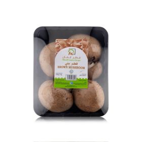 Mushroom Brown Oman
