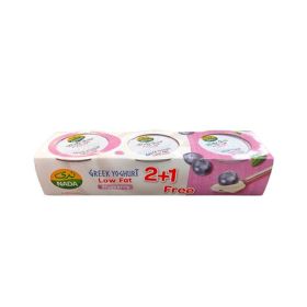 Nada Blueberry Low Fat Greek Yogurt