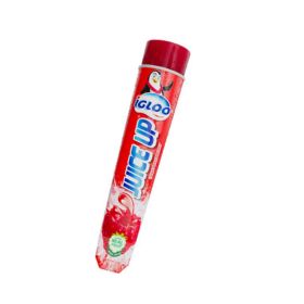 Igloo Juice Up Raspberry Ice Cream