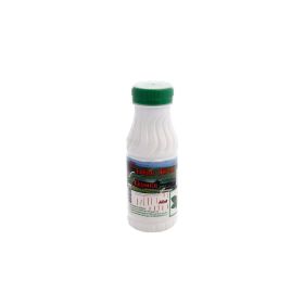 Chtoora Laban Ayran With Mint