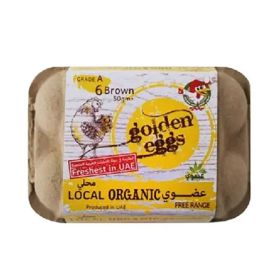 AL Jazira Golden Eggs Organic Brown Eggs