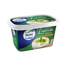 Nyssa Labneh