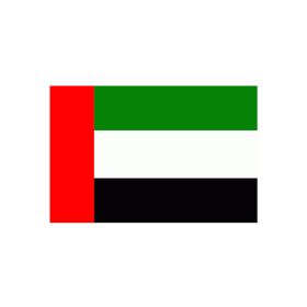 UAE Flag Sticker Medium