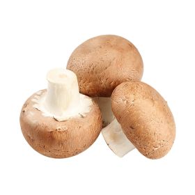 Brown Mushroom Local
