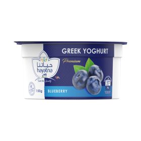 Hayatna Blueberry Greek Yogurt