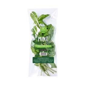Leto Mint