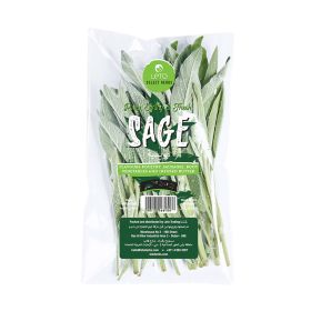 Leto Sage