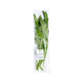 Leto Water Spinach Kangkong