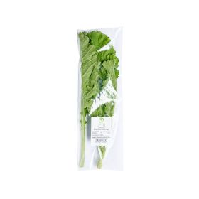Leto Mustard Leaves