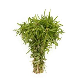 Zatar Bunch Local