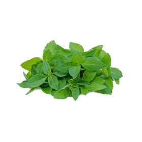 Leto Tulsi