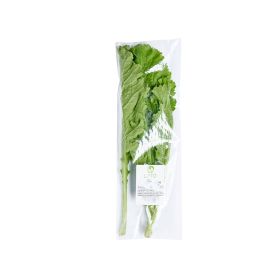 Leto Mustard Leaves