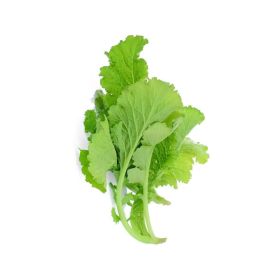 Leto Mustard Leaves