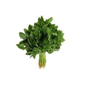 Leto Green Cheera Leaves