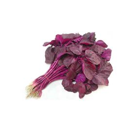 Leto Red Cheera