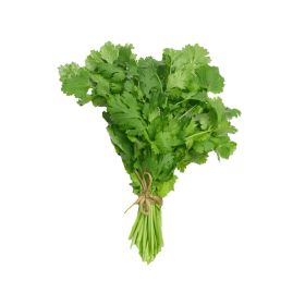 Leto Parsley Leaves