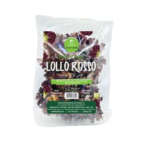 Leto Lollo Rosso Lettuce