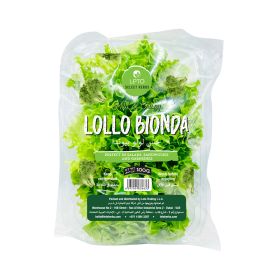 Leto Lollo Bionda Lettuce