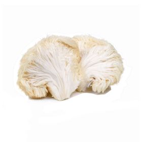 Lion's Mushroom UAE