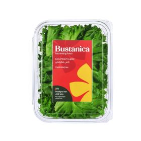 Bustanica Crunchy Leaf