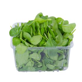 Organic Baby Spinach UAE