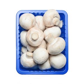 Baby White Mushroom Local
