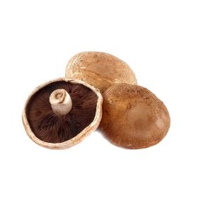 Portabello Mushroom Oman
