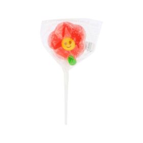 Sweetbursts Farmhouse Jelly Pop 20GM