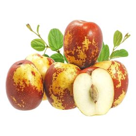 Winter Jujube