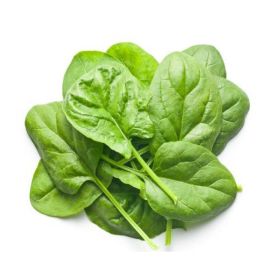 Baby Spinach Italy