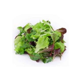 Lettuce Mesclun Selezione Italy