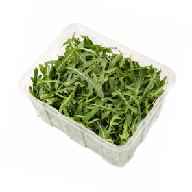Lettuce Rocket Selezione Holland