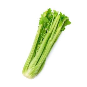 Celery