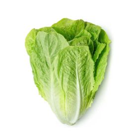 Pure Harvest Romaine Lettuce