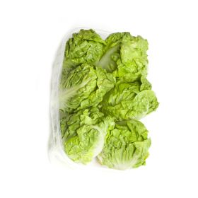 Lettuce Gem Heart Lucas Spain