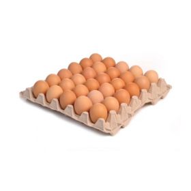 Orvital Organic Brown Eggs