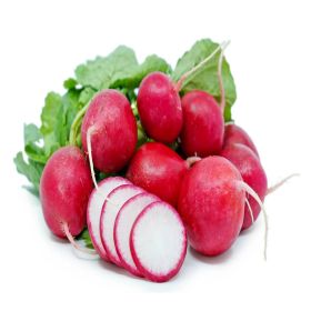 Radish Red Holland