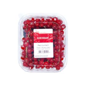 Red Currant Holland