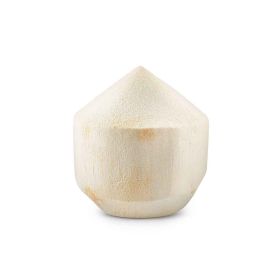 Tender Coconut Thailand