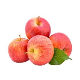 Apple Royal Gala Italy