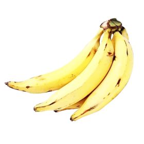 Nendran Banana India