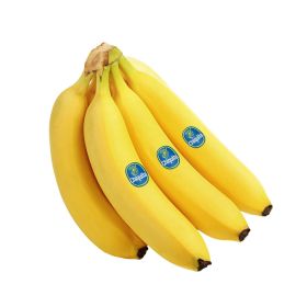 Chiquita Banana Ecuador