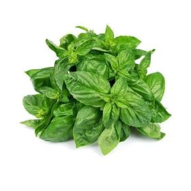 Basil Holland