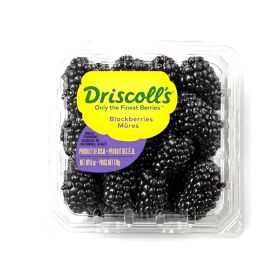 Driscolls Organic Blackberry